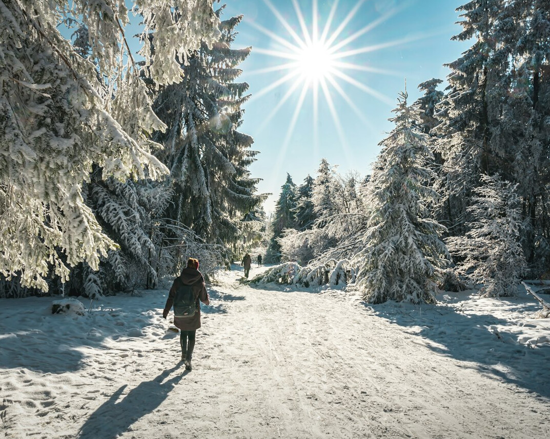people hiking in german forest